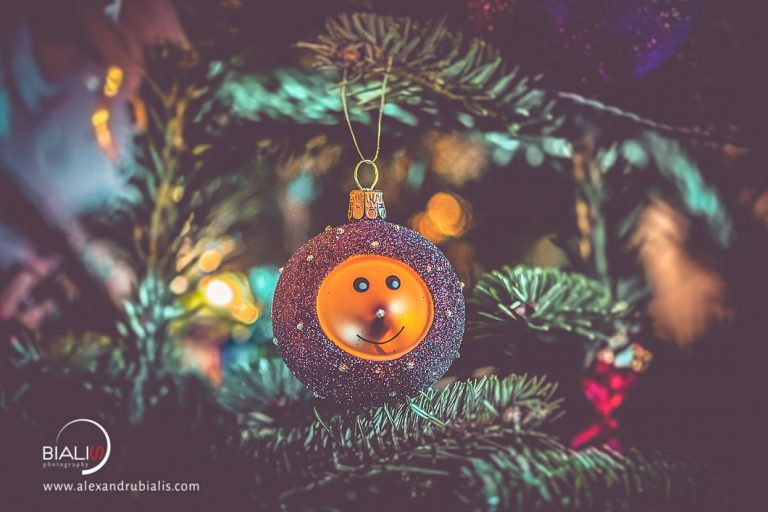 Am Facut O Poza De Craciun Alexandru Bialis Photography
