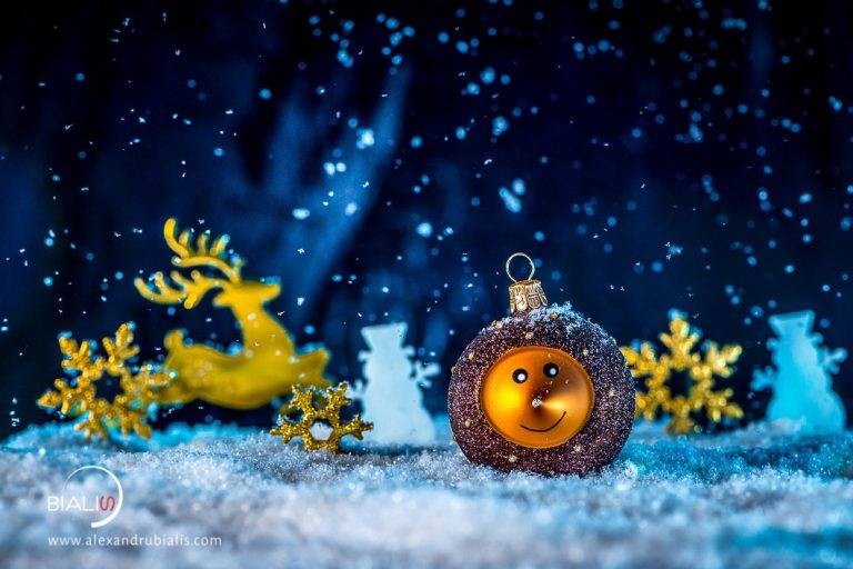 Am Facut O Poza De Craciun Alexandru Bialis Photography