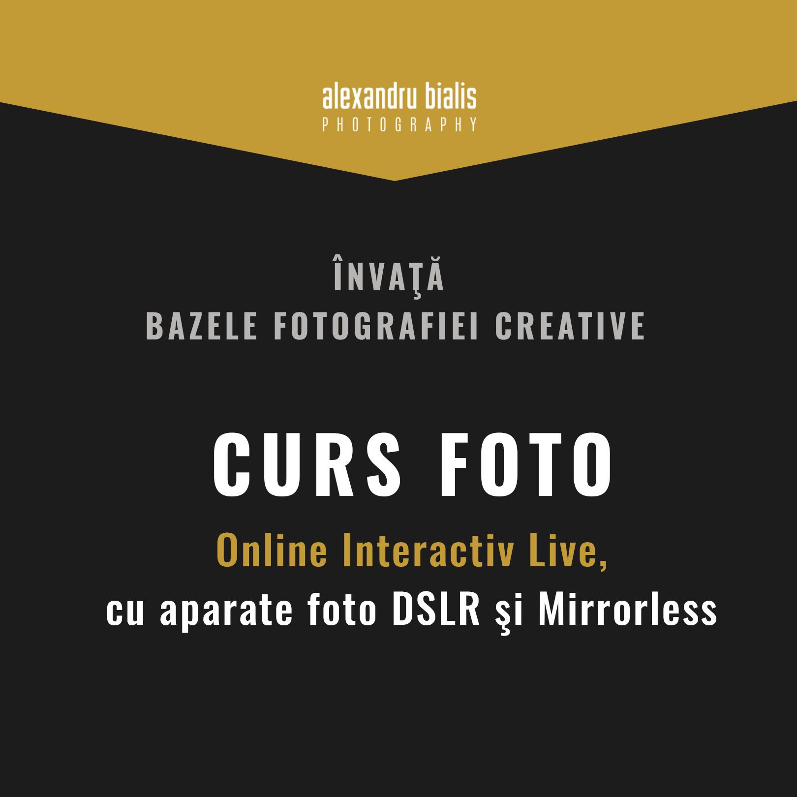 Curs foto online live interactiv, Editare foto Adobe Lightroom