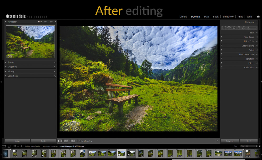 curs foto online site-Before and after Lr Print Screen-1002-after