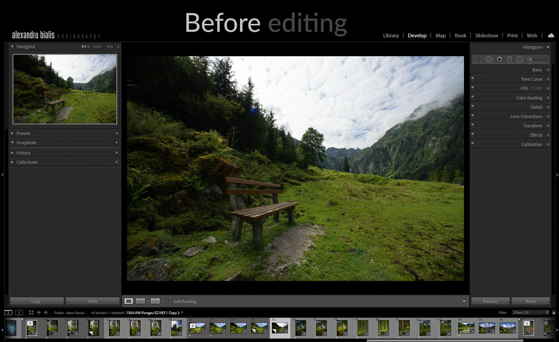curs foto online site-Before and after Lr Print Screen-1002-before