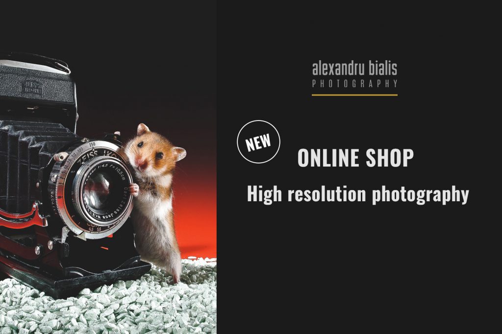 Online SHOP stock photography-slider-2-1